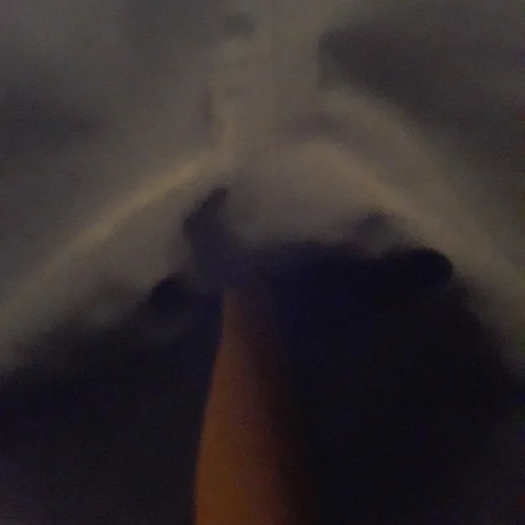 Marmot.ski pants. - Picture 13 of 16